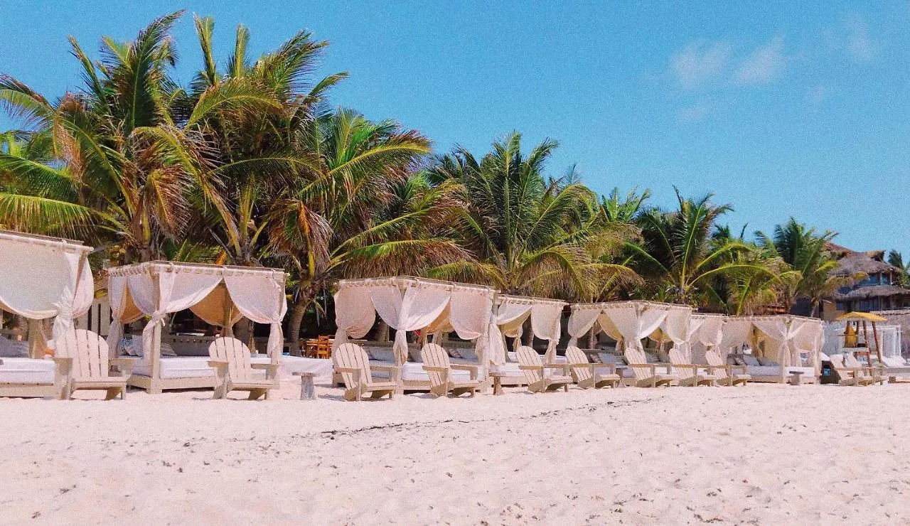 Alquimia Hotel Boutique Tulum