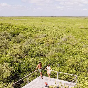 Vida Silvestre , Tulum Mexico