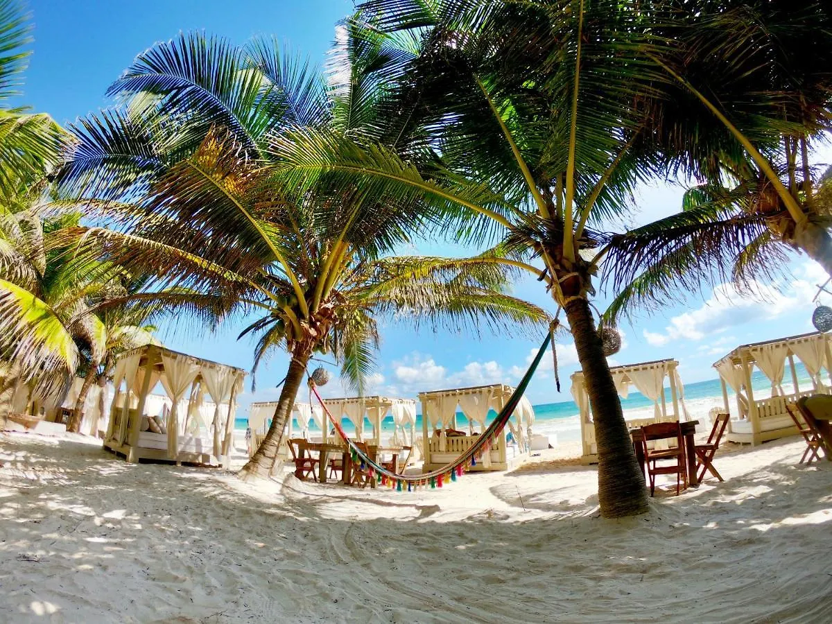 Alquimia Hotel Boutique Tulum